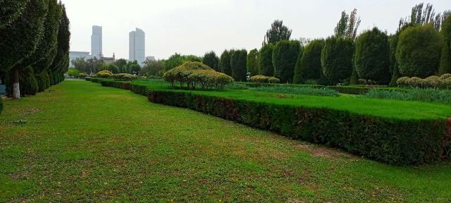 德馨公园旅行图片 11