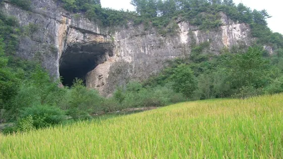 酉陽桃花源景區-大酉洞