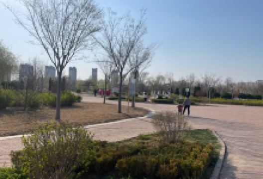 清波烟雨景点图片