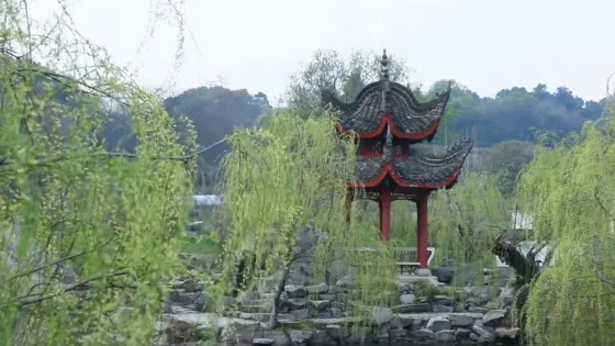 君山湖公園