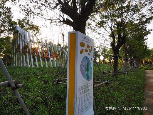 芙蓉河湿地公园
