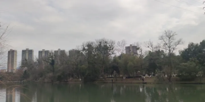 馬家洲公園