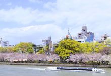 青梅市旅游图片-富士河口湖町+箱根+忍野村等多地10日游