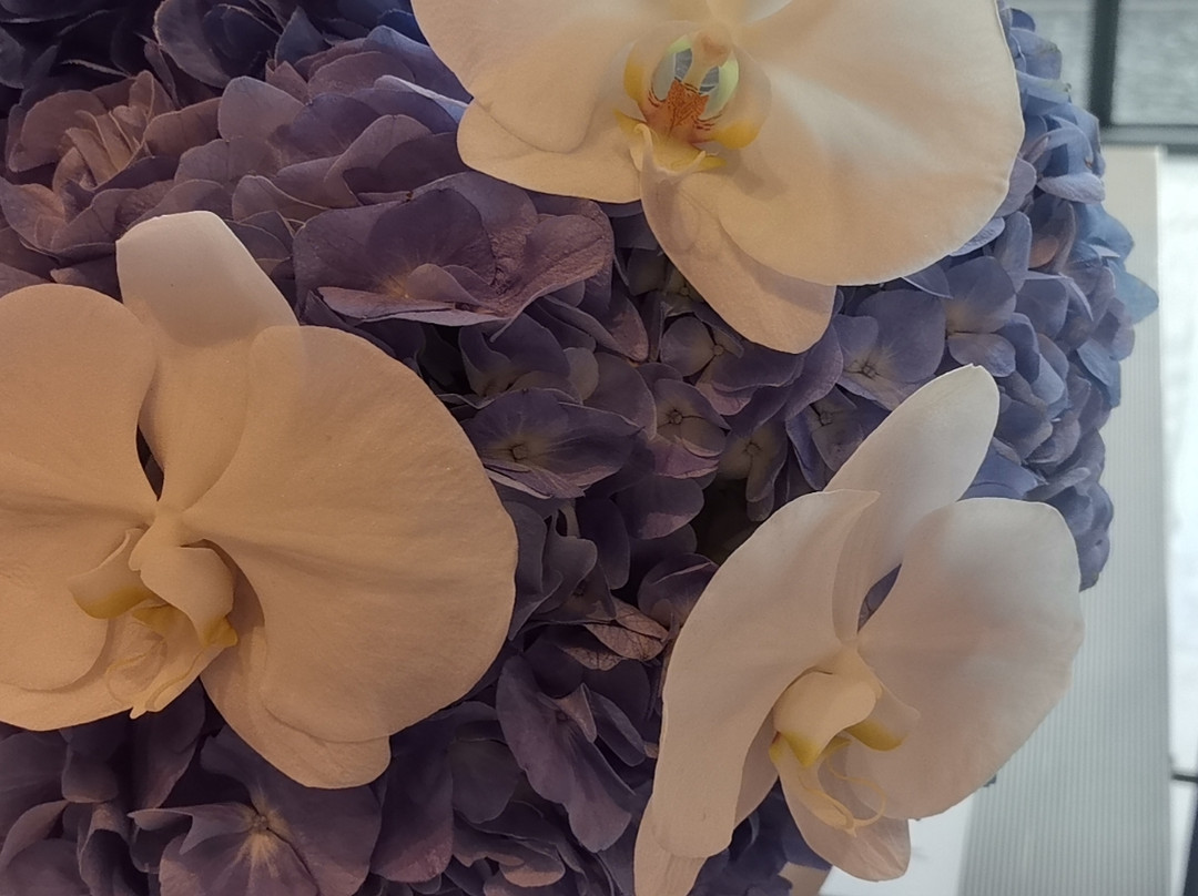 深圳国际会展中心洲际酒店主图