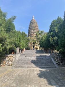 嵩阳景区-登封-岱山香橙