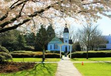 明纳努公园景点图片