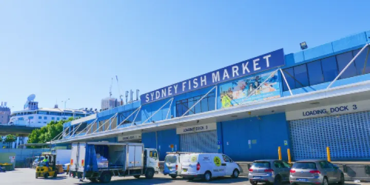 悉尼魚市