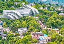 重庆南山植物园景点图片