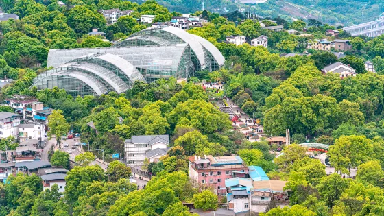 重慶南山植物園