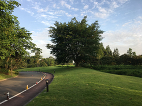 蒲江游记图片] 天府印象系列5：大溪谷