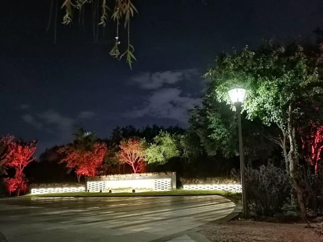洱海月湿地公园旅行图片 2