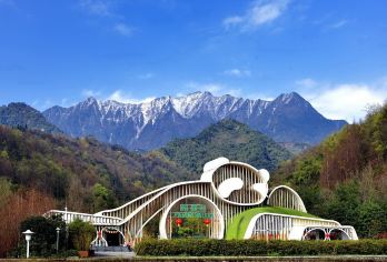 熊猫基地+三星堆一日游【1单1团·大咖精讲·纯玩三环内接送】【[舒适车型五座起]朋友式司机，纯玩无套路，专属司机1v1服务!】