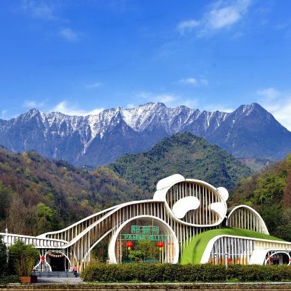 成都大熊猫繁育研究基地+武侯祠+杜甫草堂+蜀南竹海+自贡恐龙博物馆+燊海井5日4晚私家团