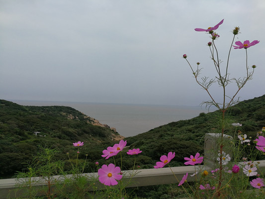 小家碧玉的嵊泗岛