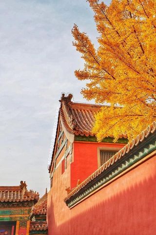 11月,我建议你一定要去一次北京!