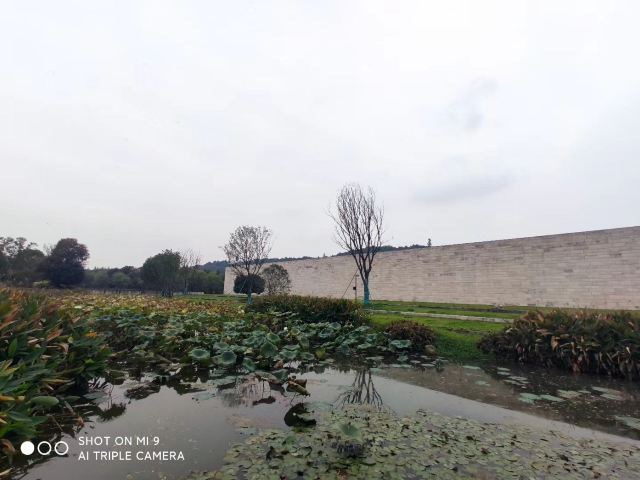 悦动泾河·泾河智慧农业园旅行图片 3
