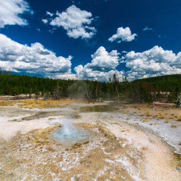 美国洛杉矶+黄石国家公园13日跟团游