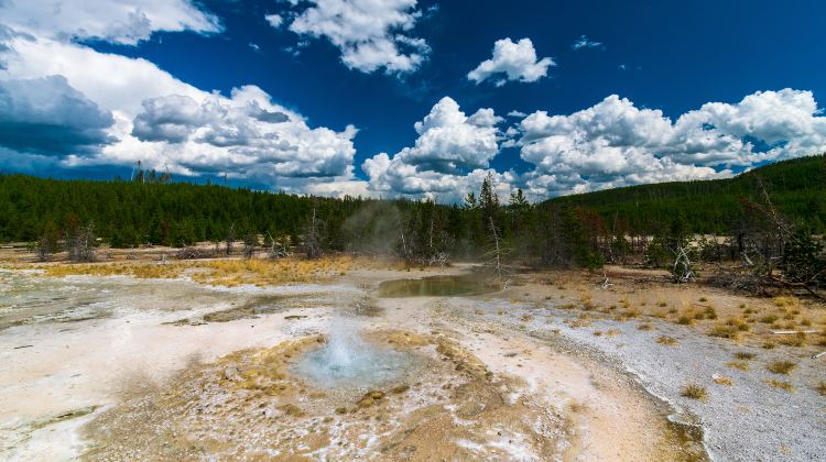 6-Day Yellowstone National Park Tour from Seattle·Old Faithful Geyser, Grand Teton National Park, Jackson Town, Coeur d’Alene | Free Airport Pick-up