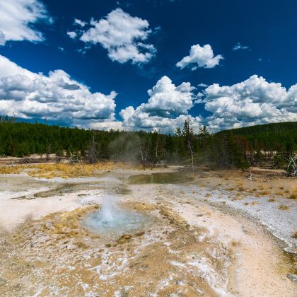 美国洛杉矶+黄石国家公园13日跟团游