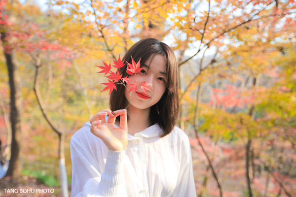 江南最美赏枫胜地:五彩斑斓的南京栖霞山,宛如童话世界