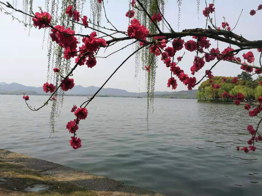宝石山上保俶塔,换个角度看西湖