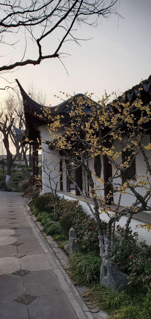 古藤园旅行图片 3
