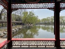 和平公园-长崎-Lavender and Sun