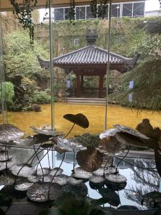 武汉博物馆-武汉-非你不渴