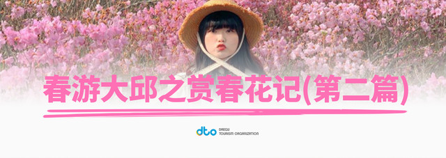春游大邱之赏春花记(第二篇)