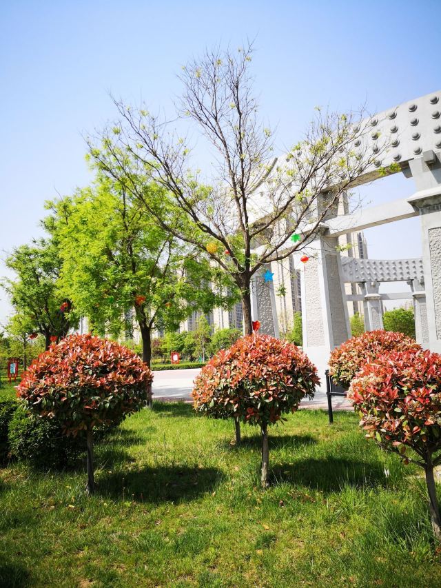 两寺渡公园旅行图片 8