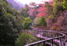 福州旗山国家森林公园景点图片