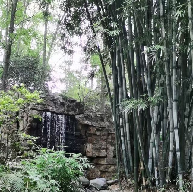 皇龙大峡谷旅行图片 2