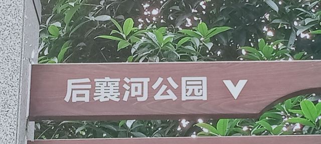 后襄河公园旅行图片 15