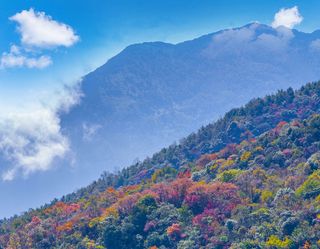 和秋日邂逅，与金秋相逢，听秋日的绵绵细语