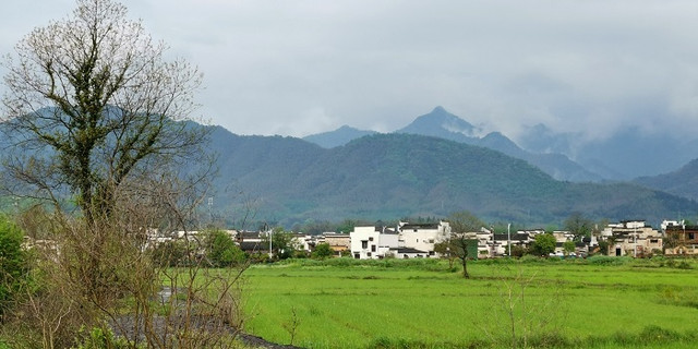 一江烟雨三州春（四）   西递  西溪南古村落  徽州古城