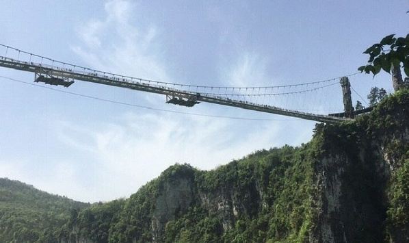 湖南中坡国家森林公园旅行图片 3