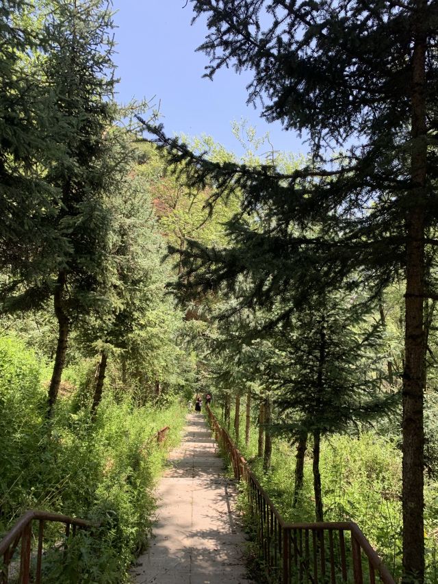 峡群寺森林公园旅行图片 10
