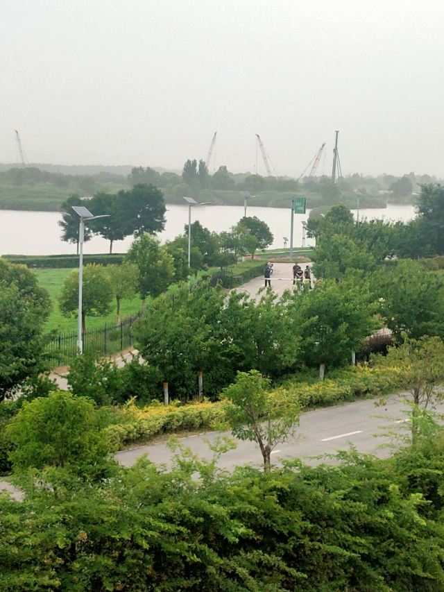 灞渭生态滩区旅行图片 2