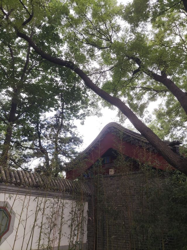 宣武艺园旅行图片 3