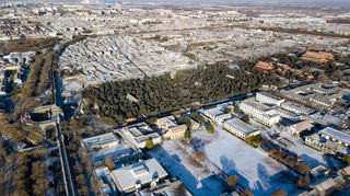 孔庙——教科书上的风景