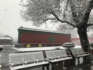 2023年全家穿越千年正定古城