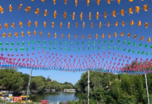 木一博览园景点图片