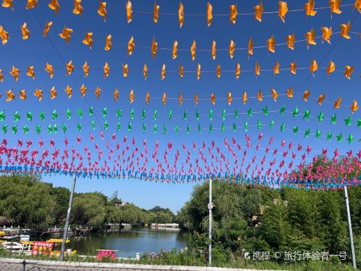 木一博览园