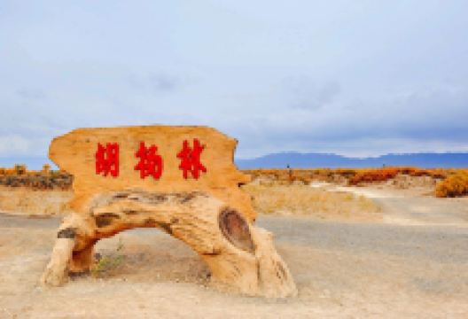 木垒胡杨林景点图片