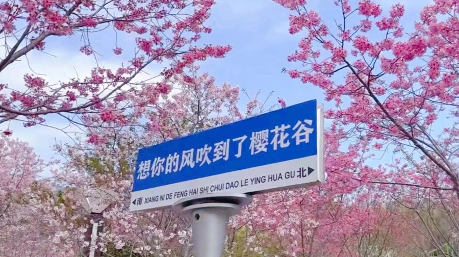 玉潭樱花谷景区