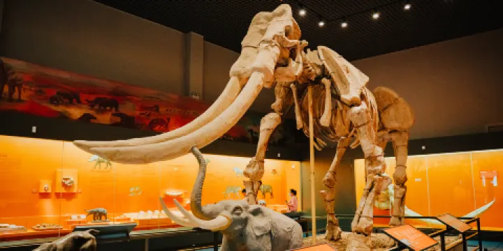 安徽省博物館老館