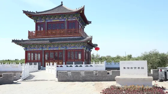 聚館古貢棗園