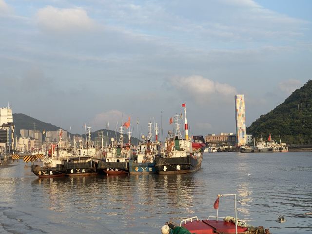 舟山沈家门渔港游玩攻略简介,舟山沈家门渔港门票/地址/图片/开放时间/照片/门票价格【携程攻略】