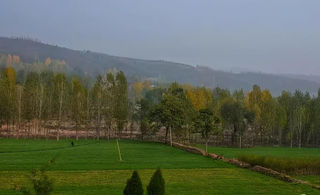 洛阳周末游的好去处!景美人少,洛阳出发只需1.5h