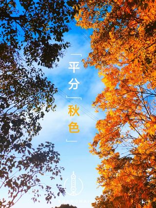 上海：潮流与历史文化相互碰撞，顺便打卡一家”安粉“餐厅